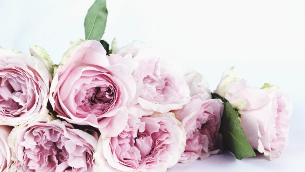 7 Beautiful Flowers That Can Enhance The Beauty Of Your Room